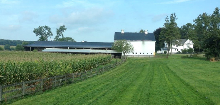 Event at the farm at Sundance Events