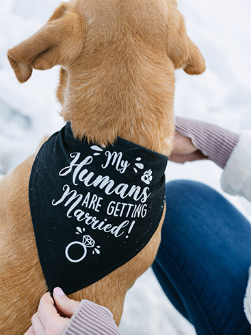 Sydney Rae Photography | Wedding Vendor at Sundance Events